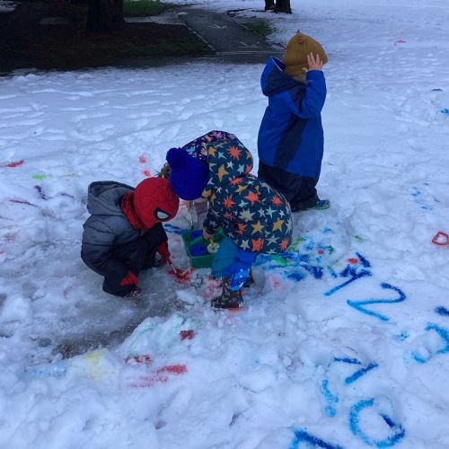 Exploring the Snow